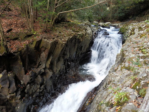 静岡観光で名所の滝めぐり 有名なパワースポットで大自然を満喫 2ページ目 Jouer ジュエ