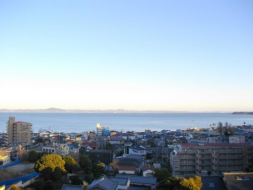 三浦海岸のおすすめランチ19選 海が見えるおしゃれカフェや安い絶品海鮮も紹介 Jouer ジュエ