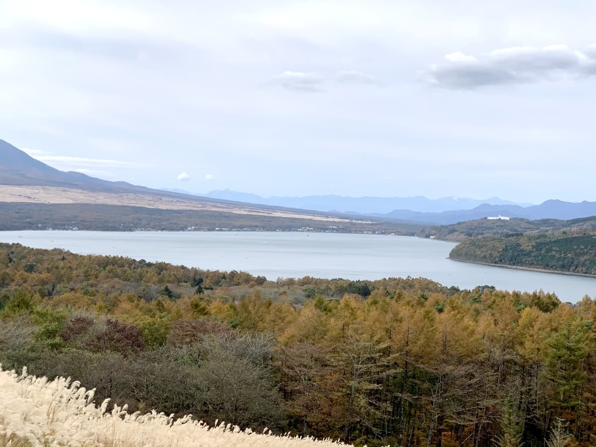 山中湖のパノラマ台