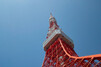 東京タワー観光の楽しみ方！デートにも役立つ周辺のグルメスポットもご紹介♡
