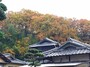 岡山観光で桃太郎のルーツをめぐる！伝説発祥の地やまつりの情報などもご紹介