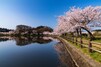 山梨は桜の名所がいっぱい！祭りやライトアップの情報をチェック
