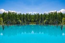 北海道・美瑛の青い池は人気絶景スポット！おすすめのタイミングやアクセスも紹介