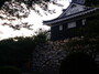 浜松城の歴史観光へ！お城と公園のおすすめスポットや見どころをチェック