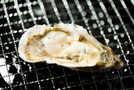 岡山の牡蠣は絶品！食べ放題や直売所などおすすめグルメ情報をご紹介