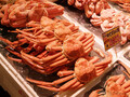 北海道のグルメといえばカニ！種類や美味しい時期・おすすめの人気店もご紹介