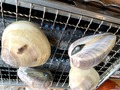 【2022年最新】木更津のグルメおすすめランキングTOP13！！名物海鮮丼や人気ラーメン店など