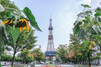 札幌のおすすめ公園13選！子どもも喜ぶ四季の自然を満喫できる場所は？