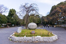 上野公園の楽しみ方・見どころを徹底紹介！アクセスや駐車場情報も