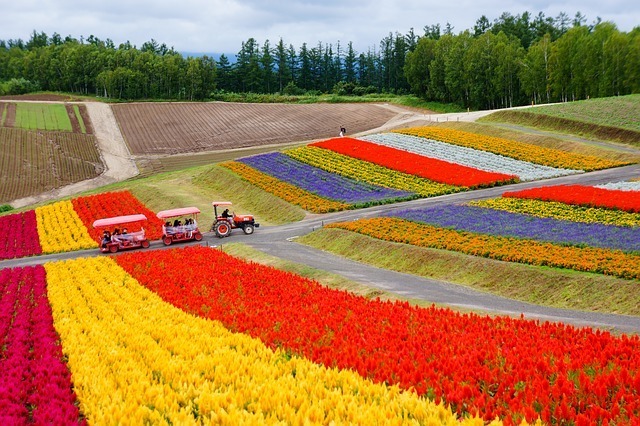 北海道 夏の旅行におすすめ観光スポット31選 景色の見どころやグルメもご紹介 Jouer ジュエ