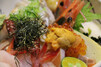 札幌のランチ・美味しいおすすめを厳選！人気カフェからご当地グルメまでご紹介