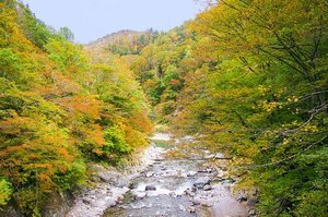 長野のアスレチックで自然を満喫 子供が楽しめるアスレチックのある公園は Jouer ジュエ