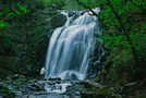 熊本でおすすめの美しい滝9選！絶景の自然の中を流れる姿はどれも圧巻