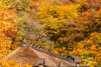 十和田湖の紅葉が楽しめる絶景スポットをご紹介！おすすめの名所や見頃の時期は？