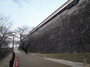 熊本城は今大注目！復興のシンボル天守閣など観光の見所がいっぱい