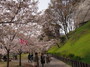 人気の上田城とその周辺を観光しよう！真田ゆかりの地の見どころは？