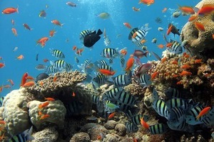 兵庫でおすすめ水族館 動物園ランキングtop17 施設の見どころを大特集 6ページ目 Jouer ジュエ