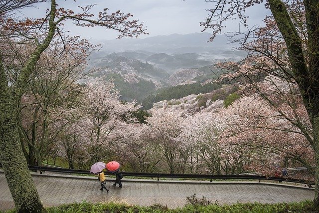 奈良のデートスポットtop21 雨でも楽しめる穴場はどこ Jouer ジュエ