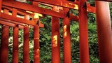 新潟の弥彦神社はおすすめのパワースポット！大自然での参拝・そのご利益とは？
