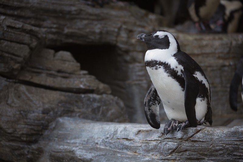 名古屋港水族館周辺でランチするならココがおすすめ 館内の人気店も詳しく紹介 Jouer ジュエ