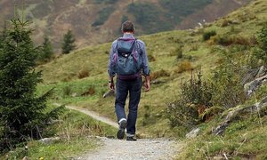 弥彦山からの絶景を見に行こう おすすめのドライブコースや登山ルートもご紹介 Jouer ジュエ