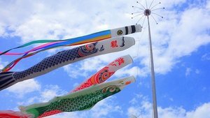 高知の風物詩鯉のぼりが圧巻 四万十川の 鯉のぼりの川渡し は必見のイベント 5ページ目 Jouer ジュエ