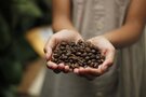 インドネシアコーヒーの特徴・魅力をご紹介！おすすめの高級豆や種類は？