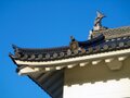 名古屋城の「しゃちほこ」のトリビアまとめ！意味や由来を知って楽しく観光しよう
