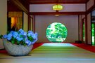 【2022年最新】鎌倉の名物グルメランキングTOP21！定番のお土産から人気ランチまで一挙紹介
