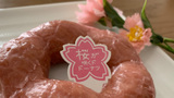 実食レポ【ミスタードーナツ】驚きの再現性！ 「桜もちっとドーナツ 桜フレーバー」
