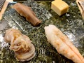 小田原のおすすめ寿司屋ランキング21！地魚が美味しい名店や持ち帰りできる店も