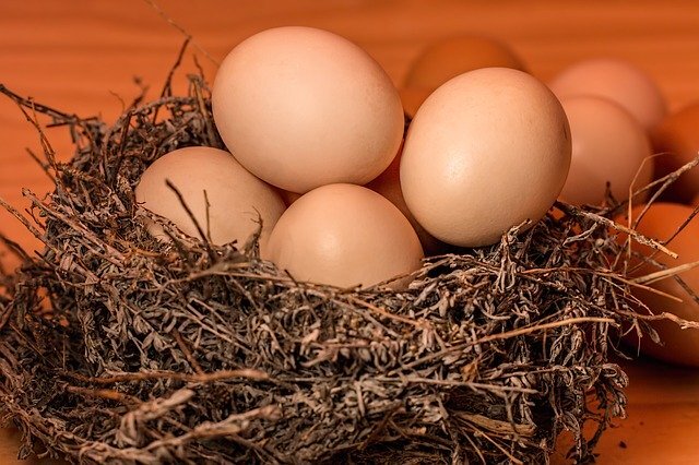 お取り寄せ高級卵が大人気 おすすめ商品をランキング形式でご紹介 Jouer ジュエ