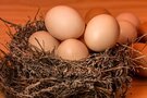 お取り寄せ高級卵が大人気！おすすめ商品をランキング形式でご紹介