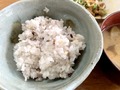 コストコの玄米は健康的でおすすめ！人気の山形はえぬきを徹底調査