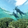 美しい珊瑚の海で心身共に癒されるプログラム「珊瑚美（ちゅ）ら滞在」