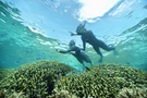 美しい珊瑚の海で心身共に癒されるプログラム「珊瑚美（ちゅ）ら滞在」