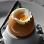 ティファールの電気ケトルで簡単ゆで卵！作り方や注意点をまとめ！