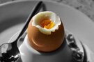 ティファールの電気ケトルで簡単ゆで卵！作り方や注意点をまとめ！