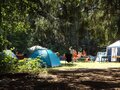 橘ふれあい公園キャンプ場で大自然を満喫！ローラーすべり台が人気の施設をご紹介
