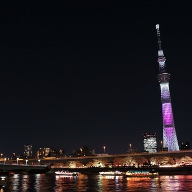東京スカイツリーの夜景が絶景と話題 専門プロデューサーによる息を飲む景色とは Jouer ジュエ
