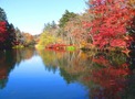 雲場池は軽井沢自慢の自然溢れる人気スポット！周辺の観光名所も徹底調査