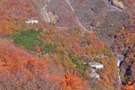 いろは坂は日本屈指の紅葉の名所！絶対に見逃せない撮影スポットは？