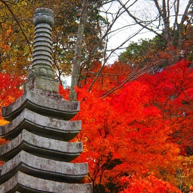 永源寺は茨城が誇る紅葉が美しい人気スポット アクセスや混雑しにくい日は Jouer ジュエ