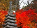 永源寺は茨城が誇る紅葉が美しい人気スポット！アクセスや混雑しにくい日は？