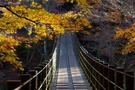 花貫渓谷は紅葉狩りが楽しめる人気スポット！おすすめのランチや遊び方は？