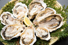 【石川】能登の牡蠣料理は人気の名物！美味しい海鮮料理店もご紹介