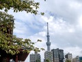 東京スカイツリーのプラネタリウムが人気！割引情報やアクセス方法は？