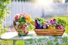 夏に食べたい食べ物おすすめランキングTOP7！旬の果物や野菜など食材をご紹介