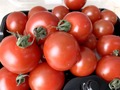 【トマト】のカロリー・糖質を徹底解説！ダイエット中におすすめの食べ方も