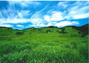 【砥峰高原】は夏の新緑も美しい人気の名所！おすすめスポットを大公開